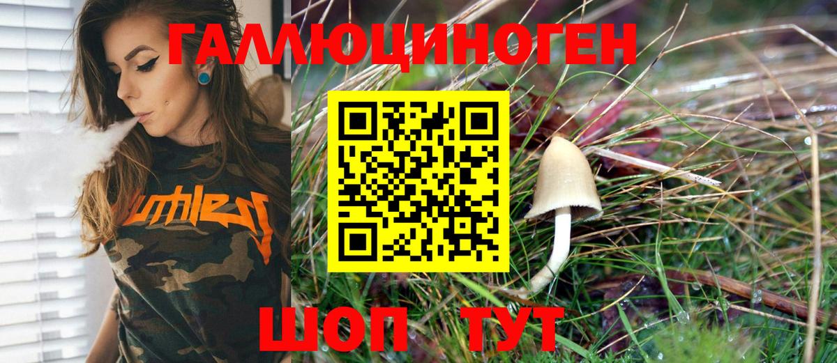 Галлюциногенные грибы Magic Shrooms  Вход с VPN  Псилоцибиновые грибы мухоморы  Вышний Волочёк 